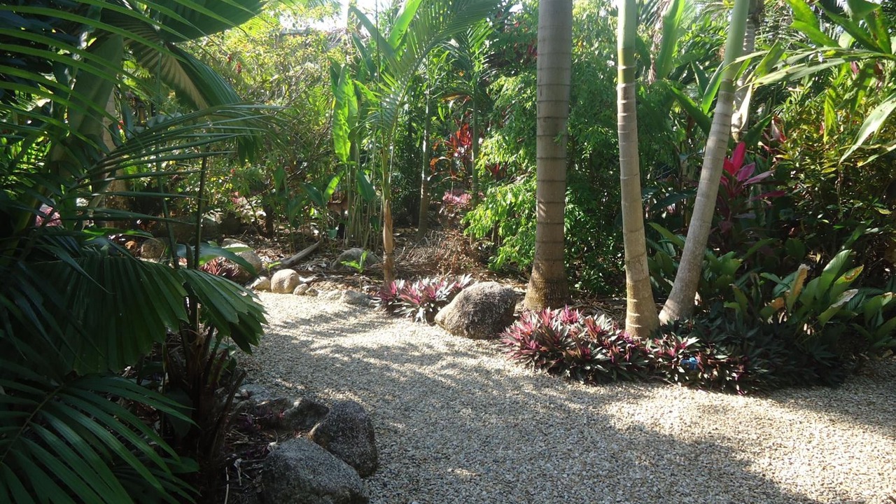 Photo of Outdoor in Wongaling Beach