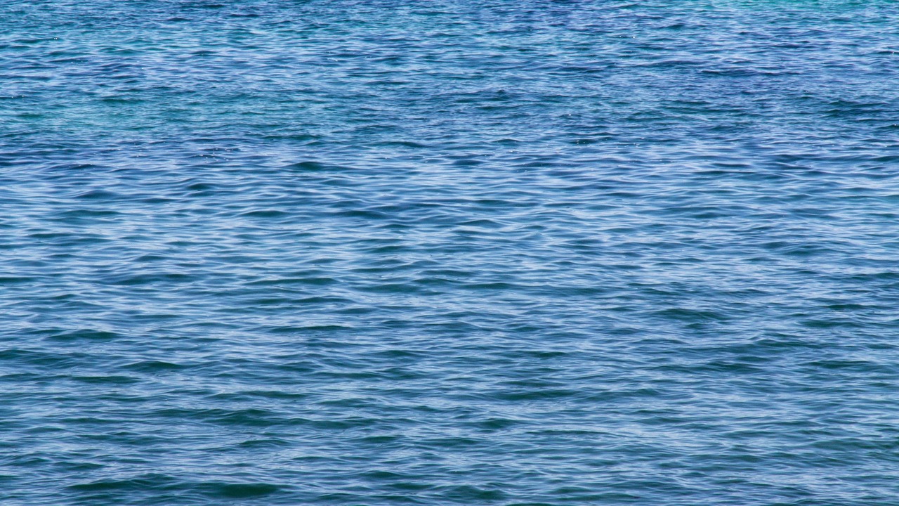 Photo of Others in Roscoff