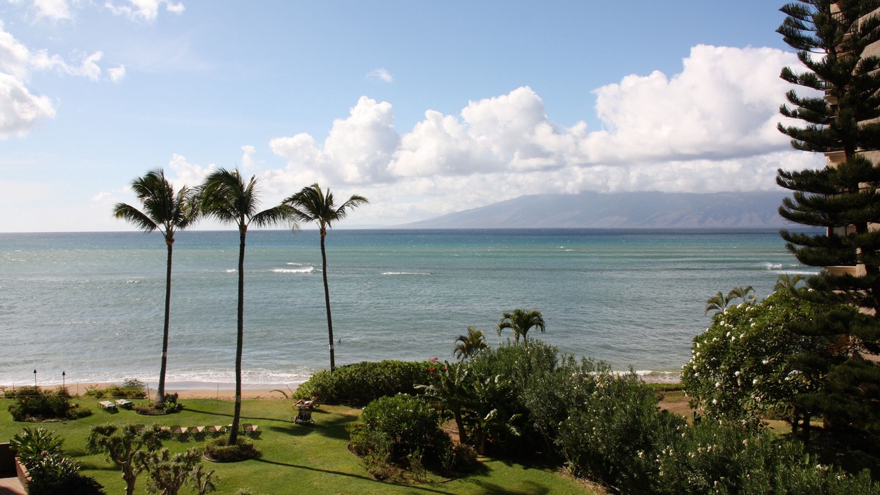 Photo of Others in Kahana