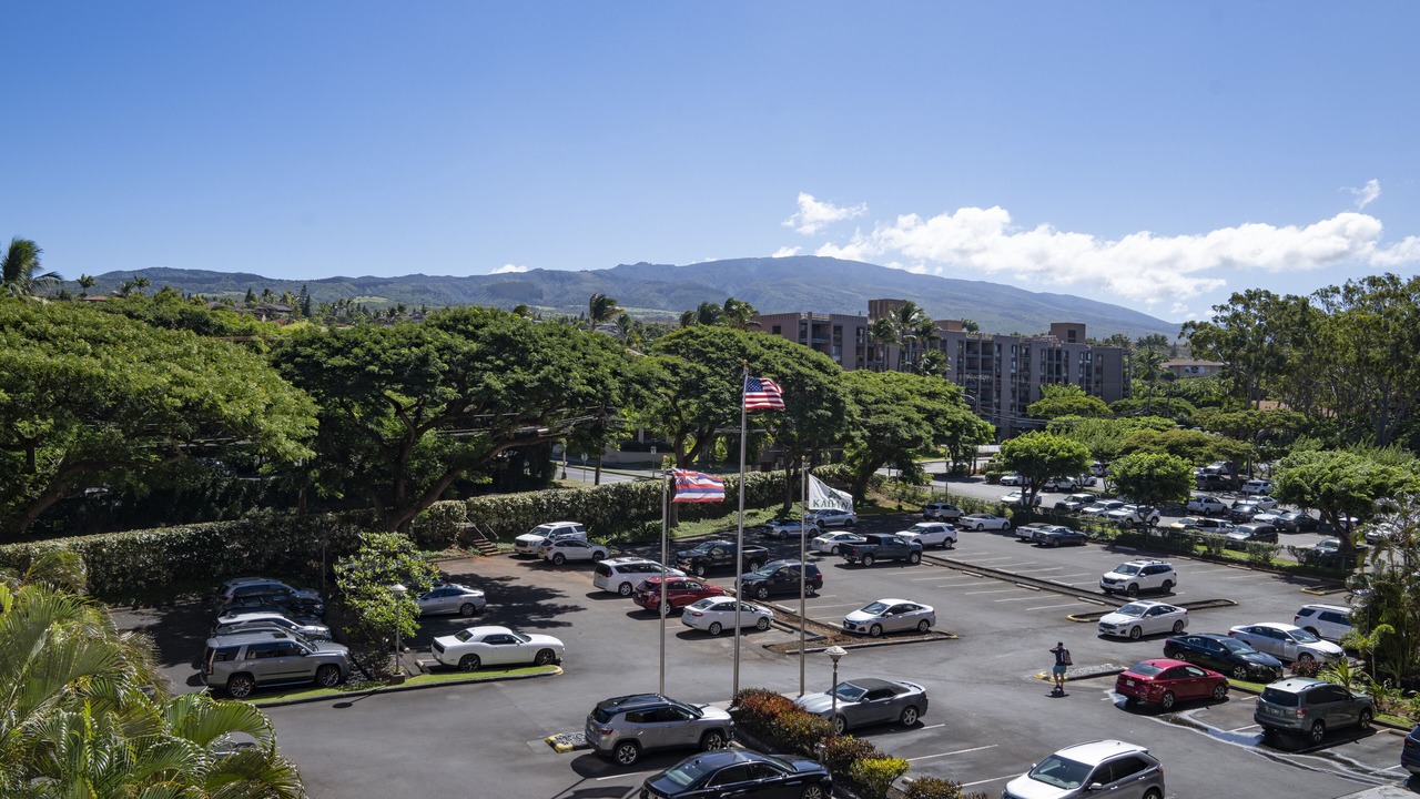 Photo of Others in Kahana