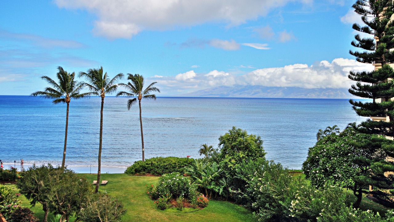 Photo of Others in Kahana