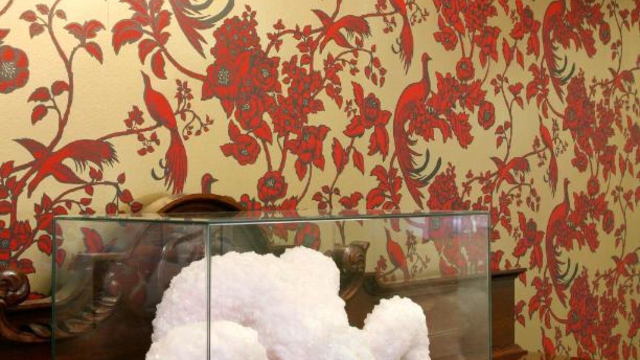 Photo of Others in Adelaide Central Business District