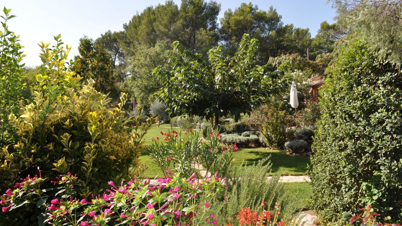 Photo of Outdoor in Fayence