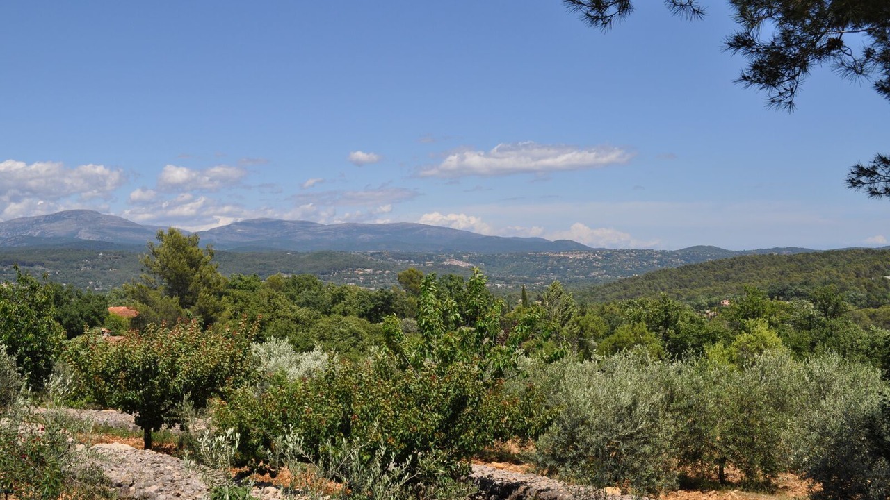 Photo of Outdoor in Fayence