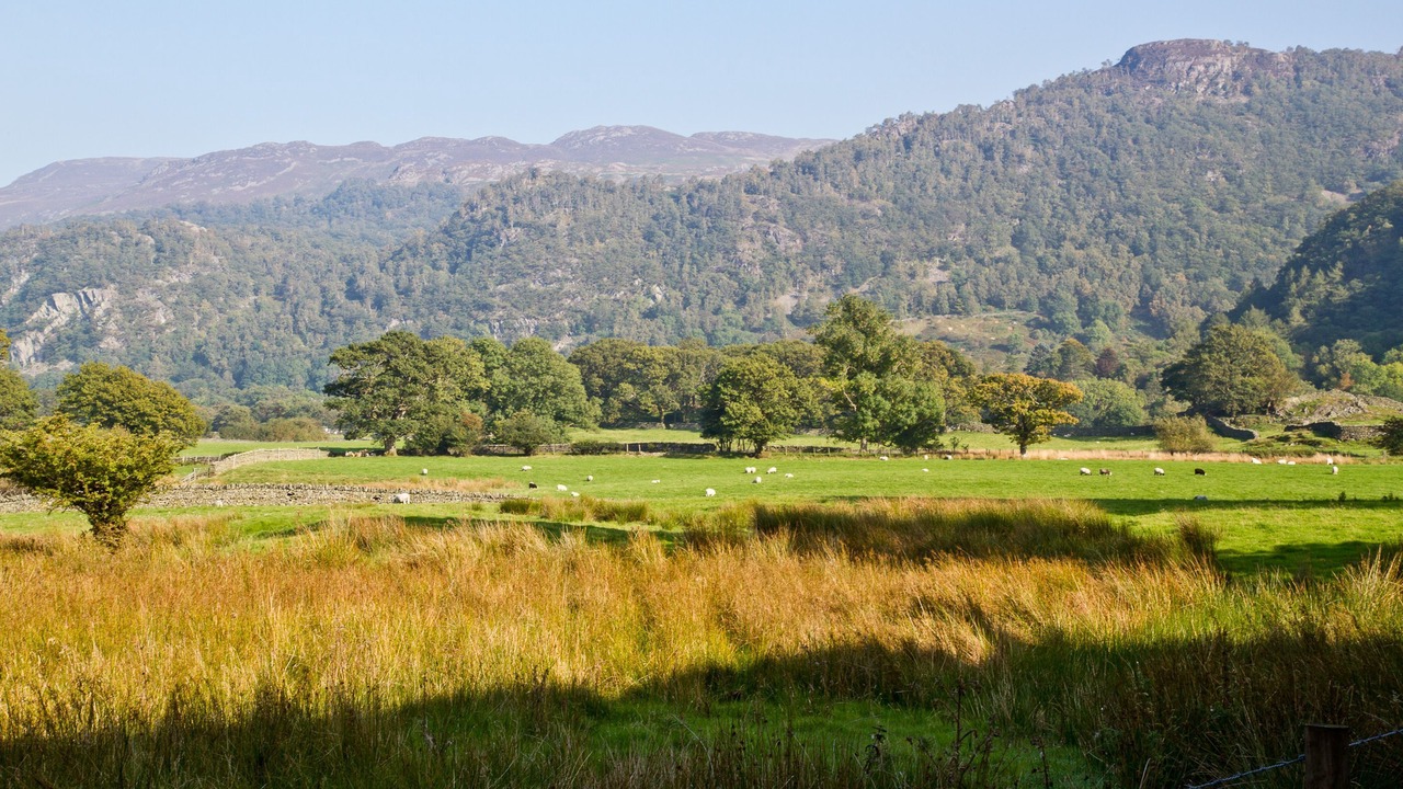 Photo of Others in Borrowdale