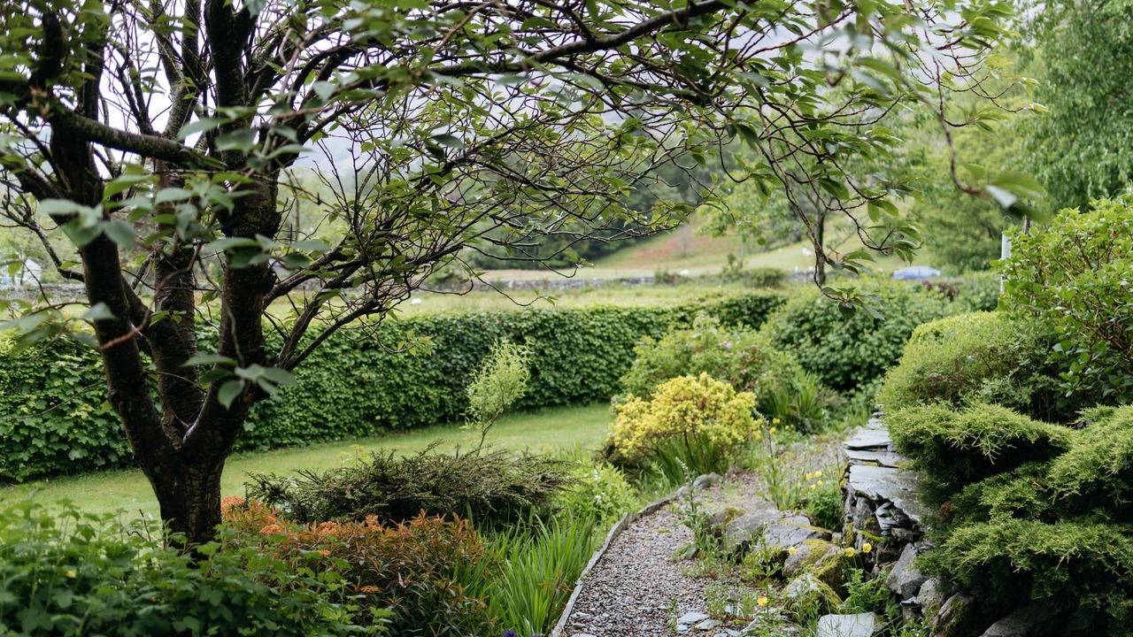 Photo of Outdoor in Borrowdale
