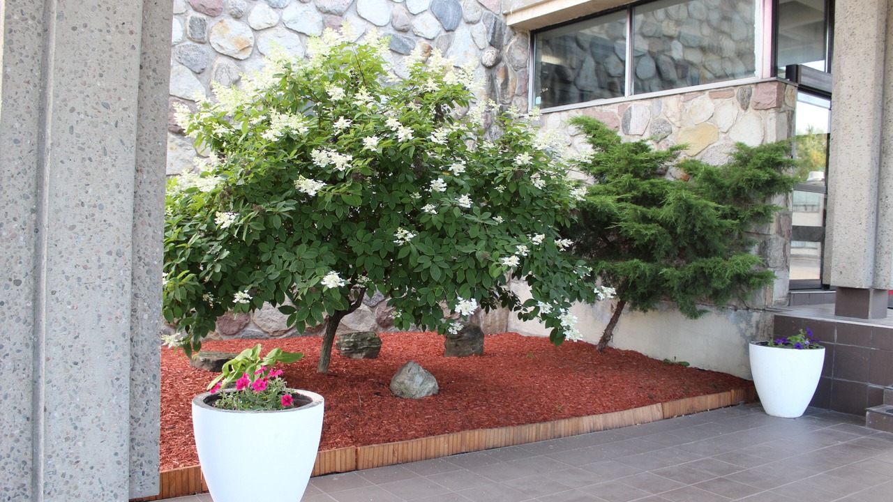 Photo of Outdoor in Trois-Rivieres