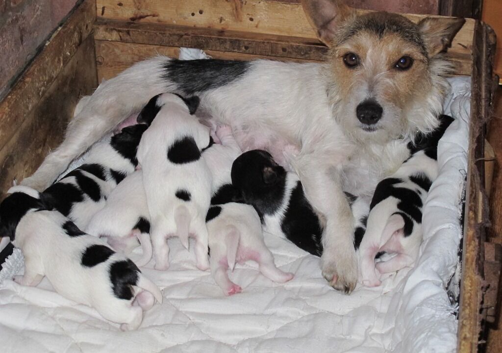 Photo of Others in Upton Snodsbury