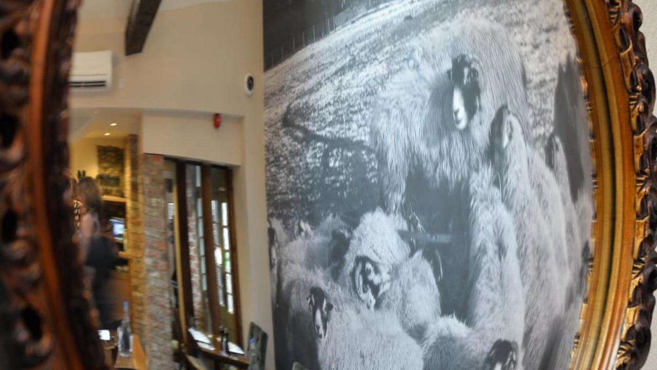 Photo of Others in Skipton