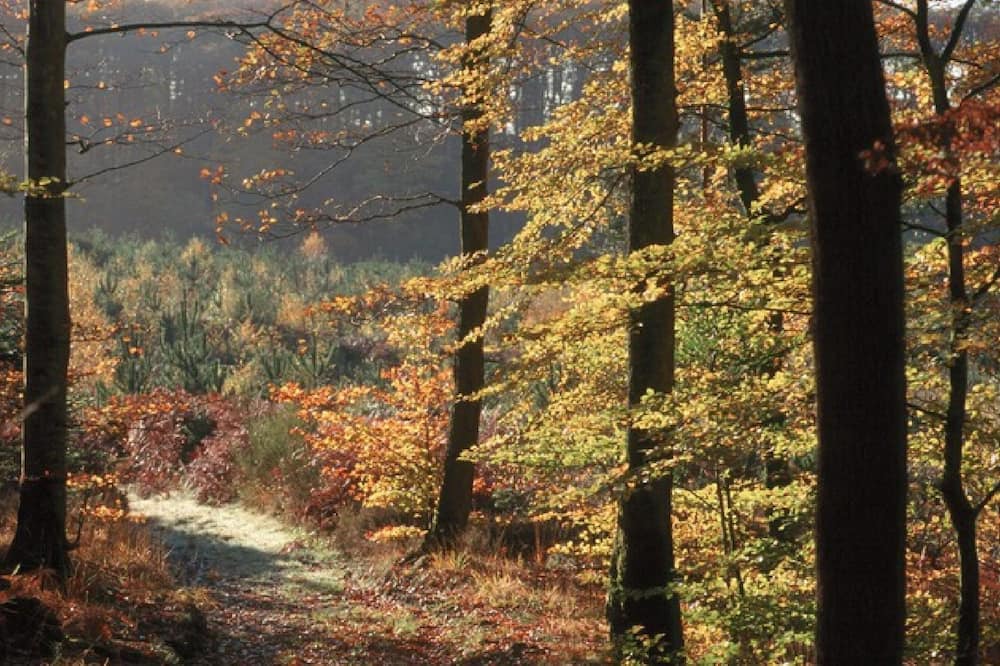 Photo of Others in Neufchatel-en-Saosnois