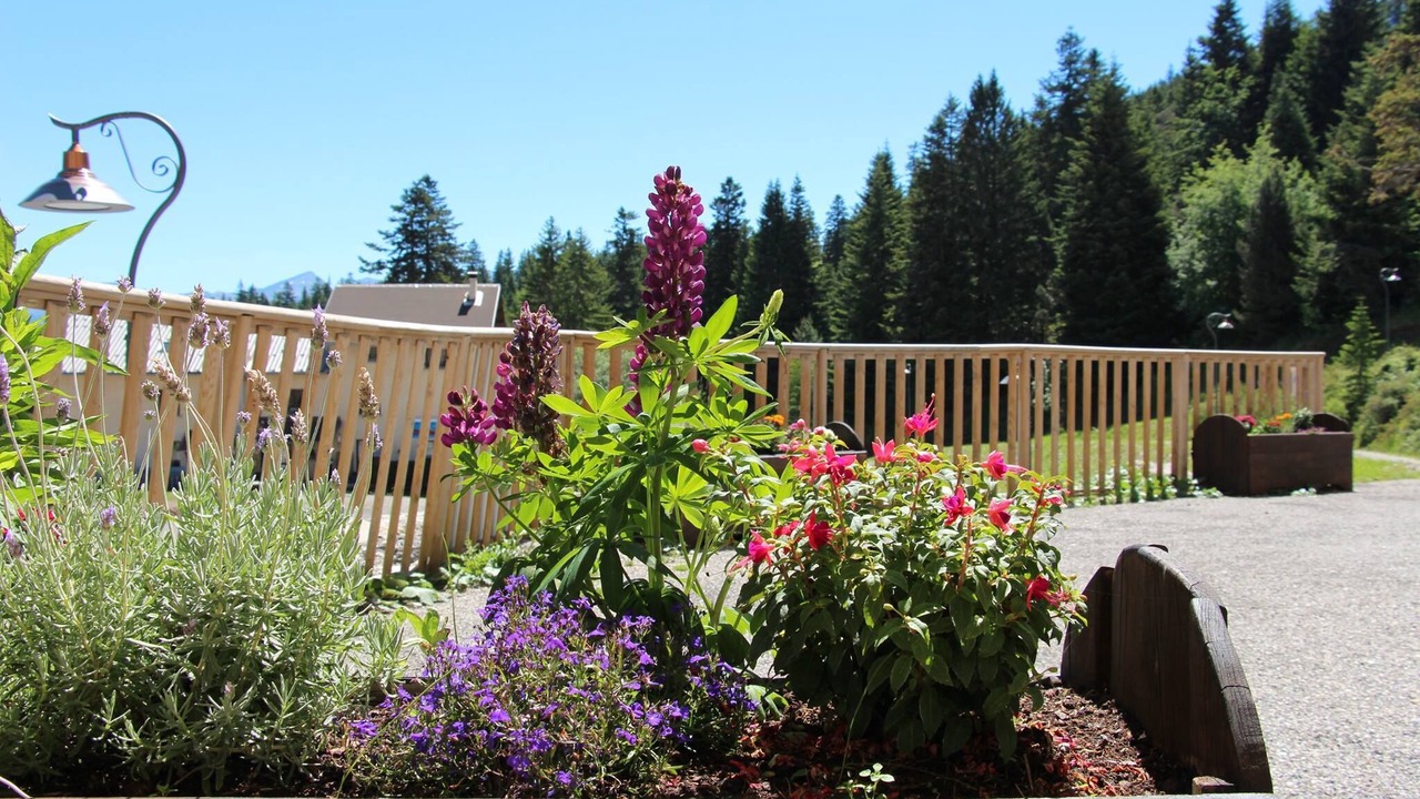Photo of Outdoor in Selonnet