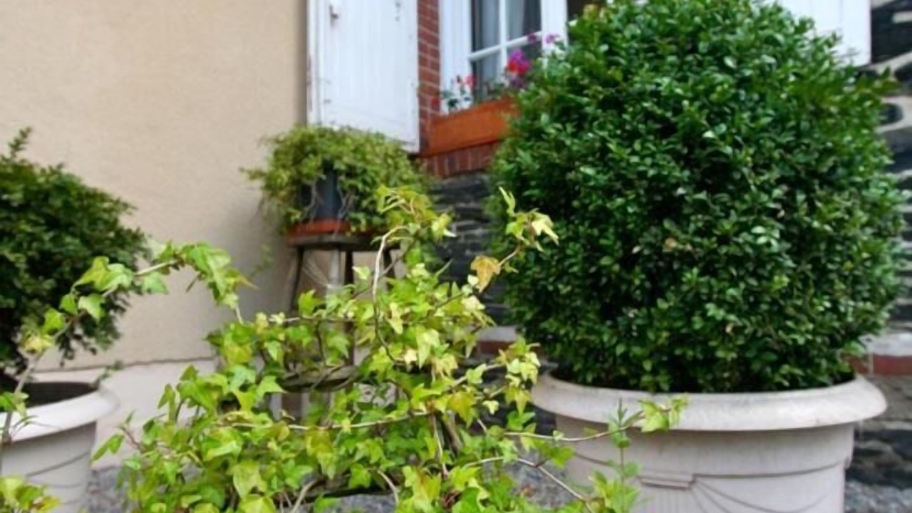 Photo of Outdoor in Combree