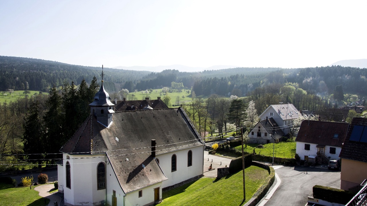 Photo of Outdoor in Birkenwald