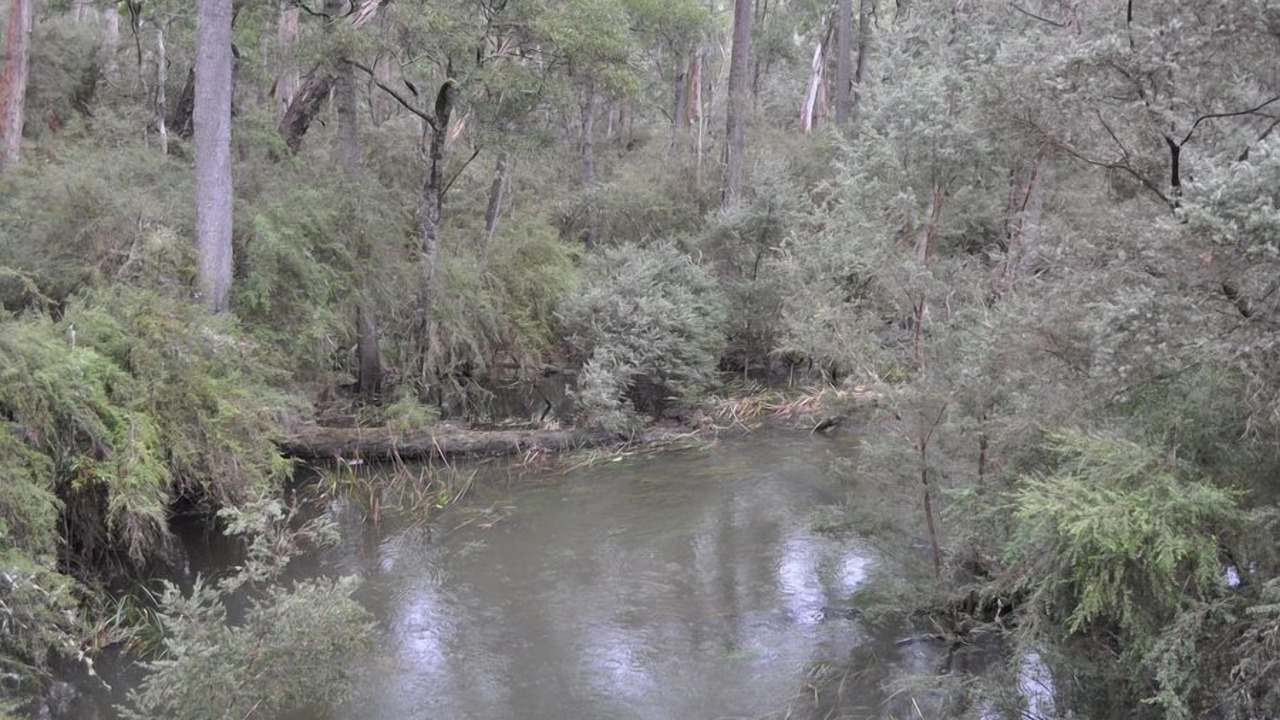 Photo of Others in Portland