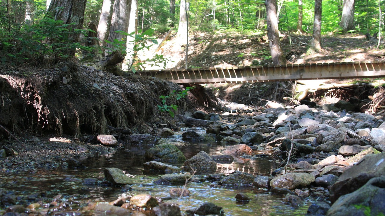 Photo of Outdoor in Scotsburn