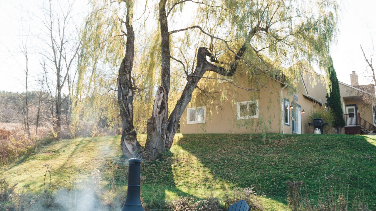Photo of Outdoor in Sutton