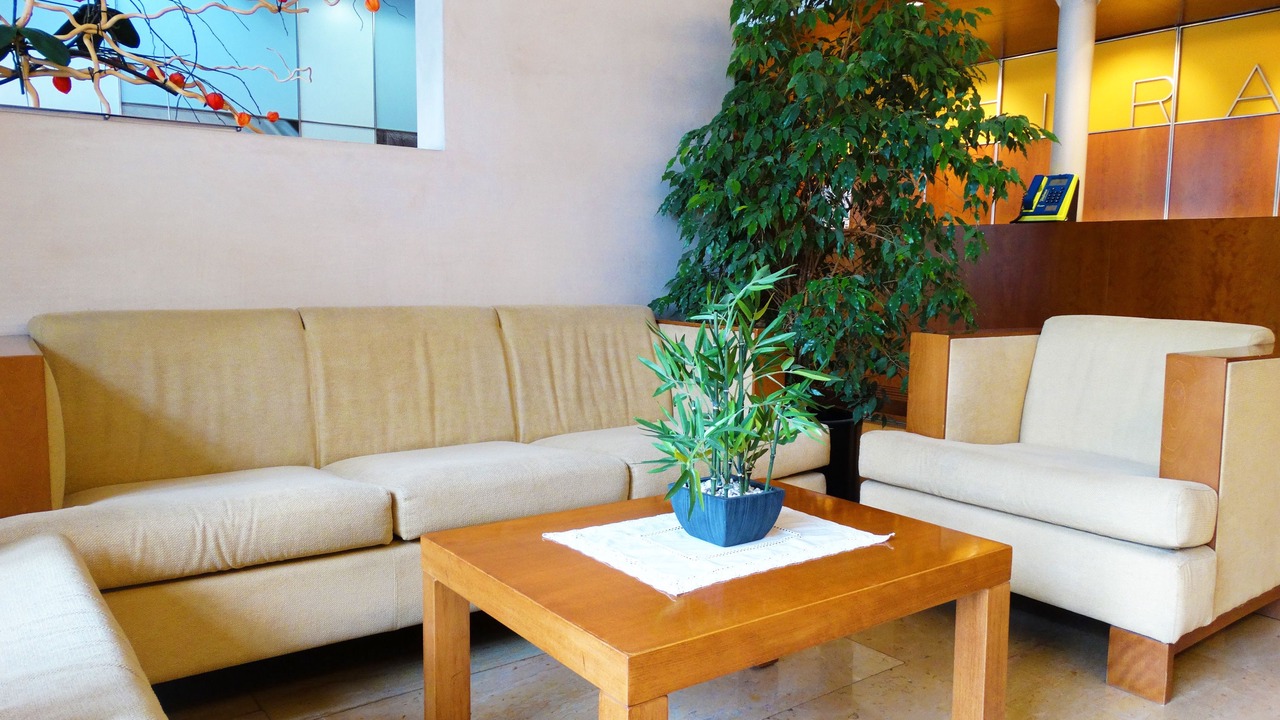 Photo of Livingroom in Figueres