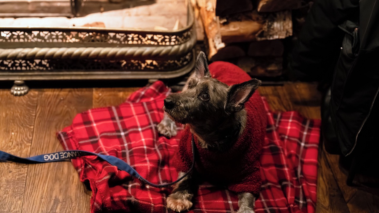 Photo of Others in Sonning