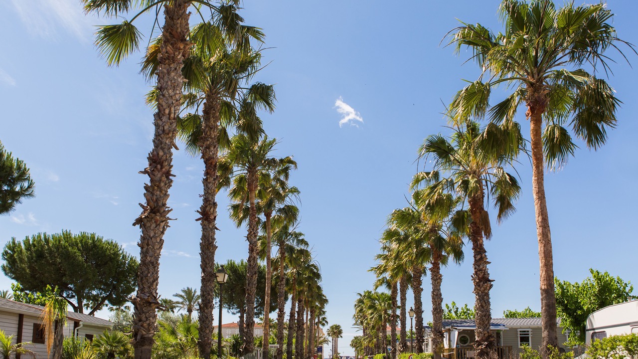 Photo of Outdoor in El Vendrell