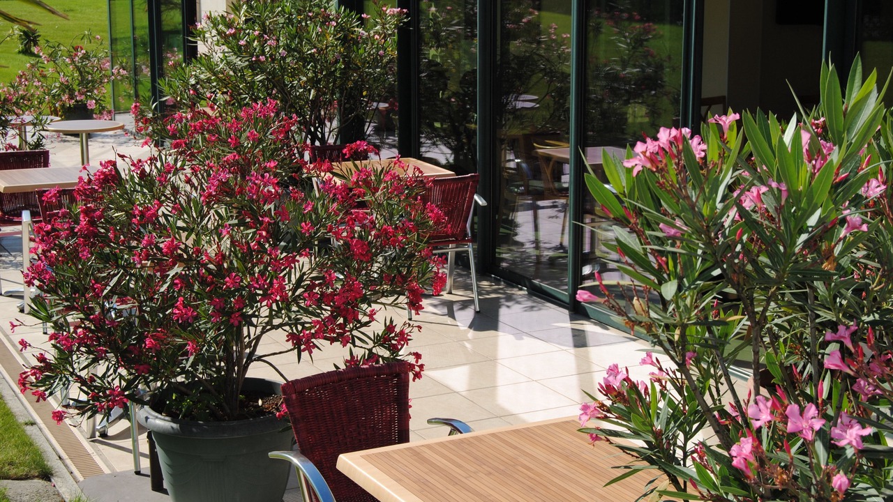 Photo of Patio Balcony in Chateaudun