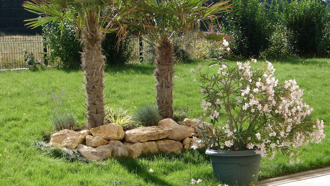 Photo of Outdoor in Chateaudun