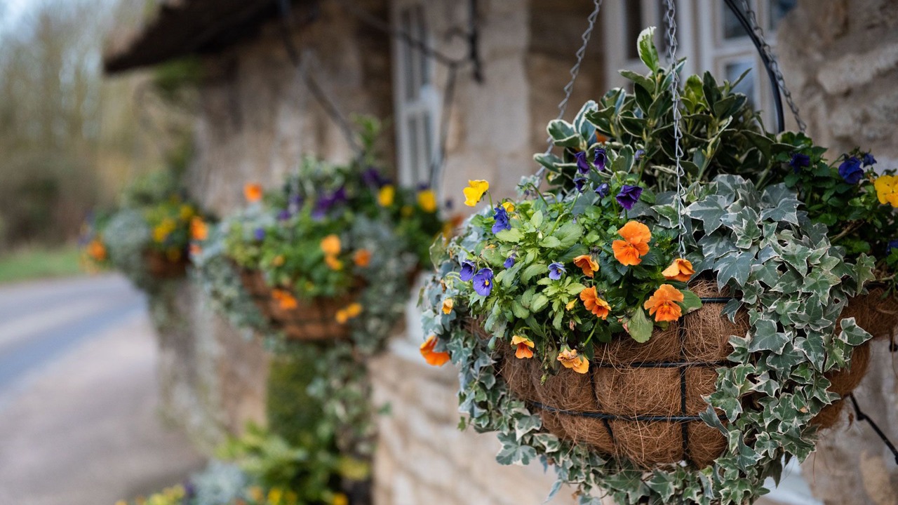 Photo of Outdoor in Stanton Saint John