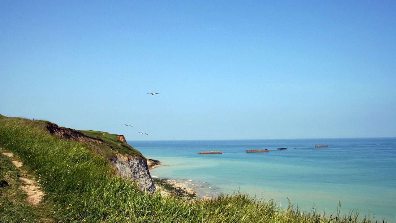 Photo of Others in Jardin des plantes