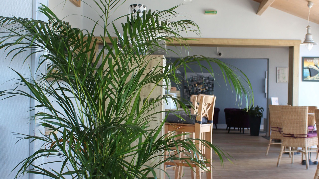 Photo of Others in La Gueriniere