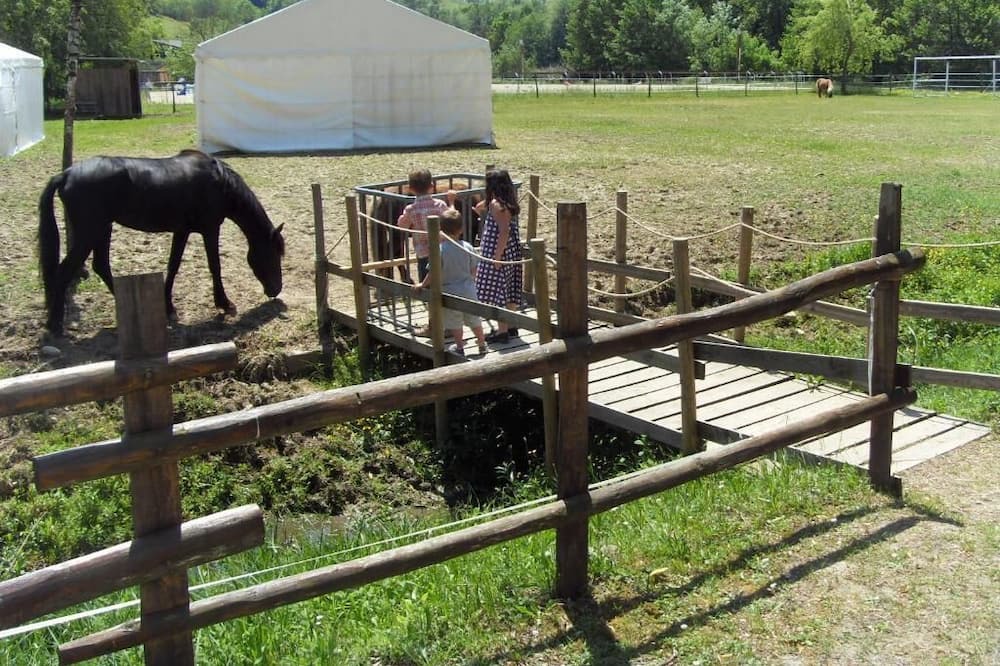 Photo of Outdoor in Reaumont