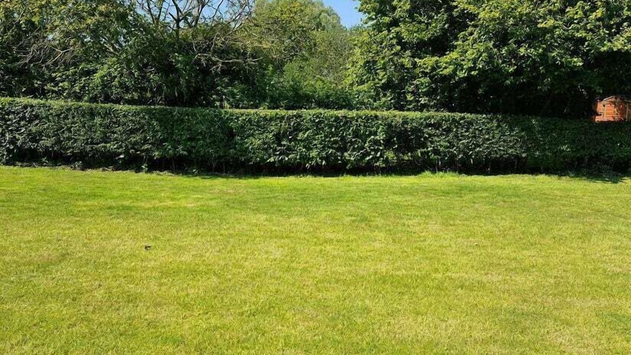 Photo of Bathroom in Odcombe