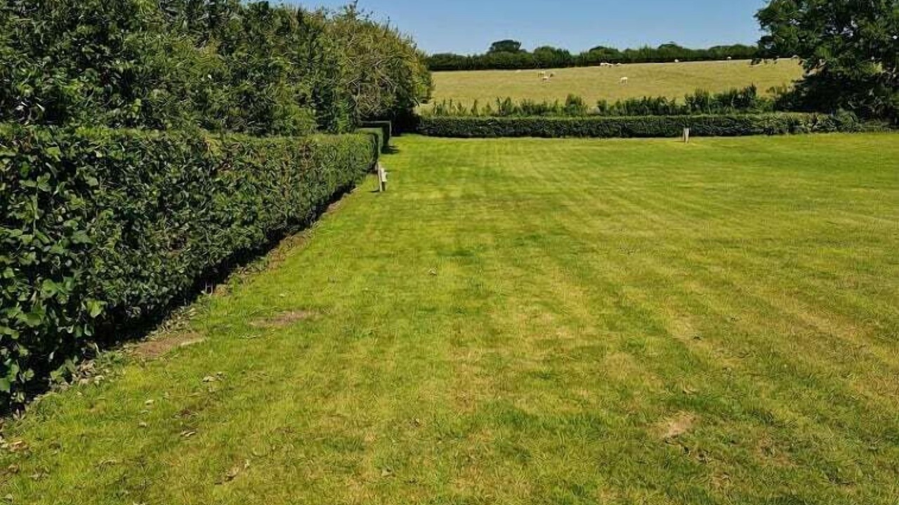 Photo of Others in Odcombe