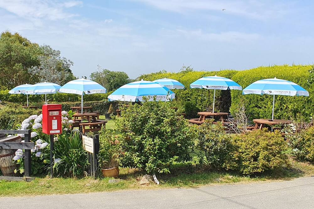 Photo of Outdoor in Pendoggett