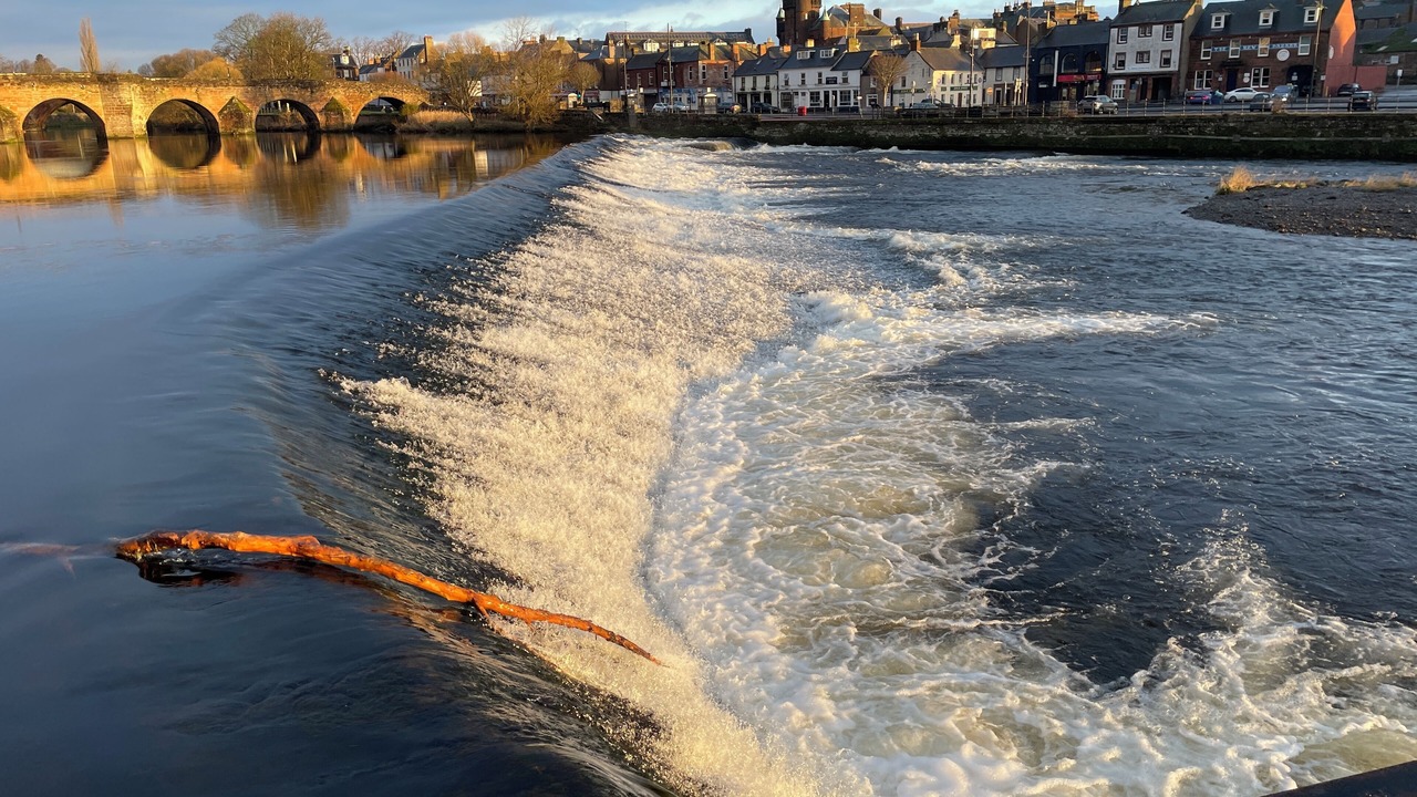 Photo of Others in Dumfries