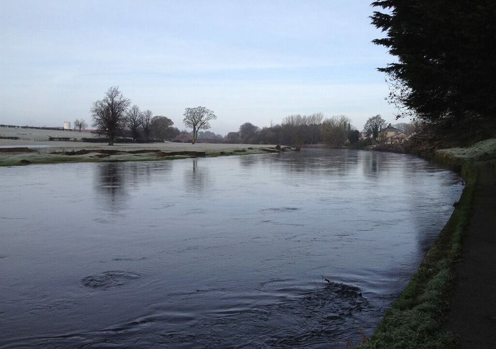 Photo of Others in Dumfries