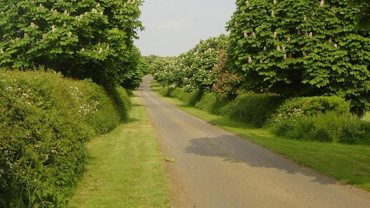 Photo of Outdoor in Yardley Gobion