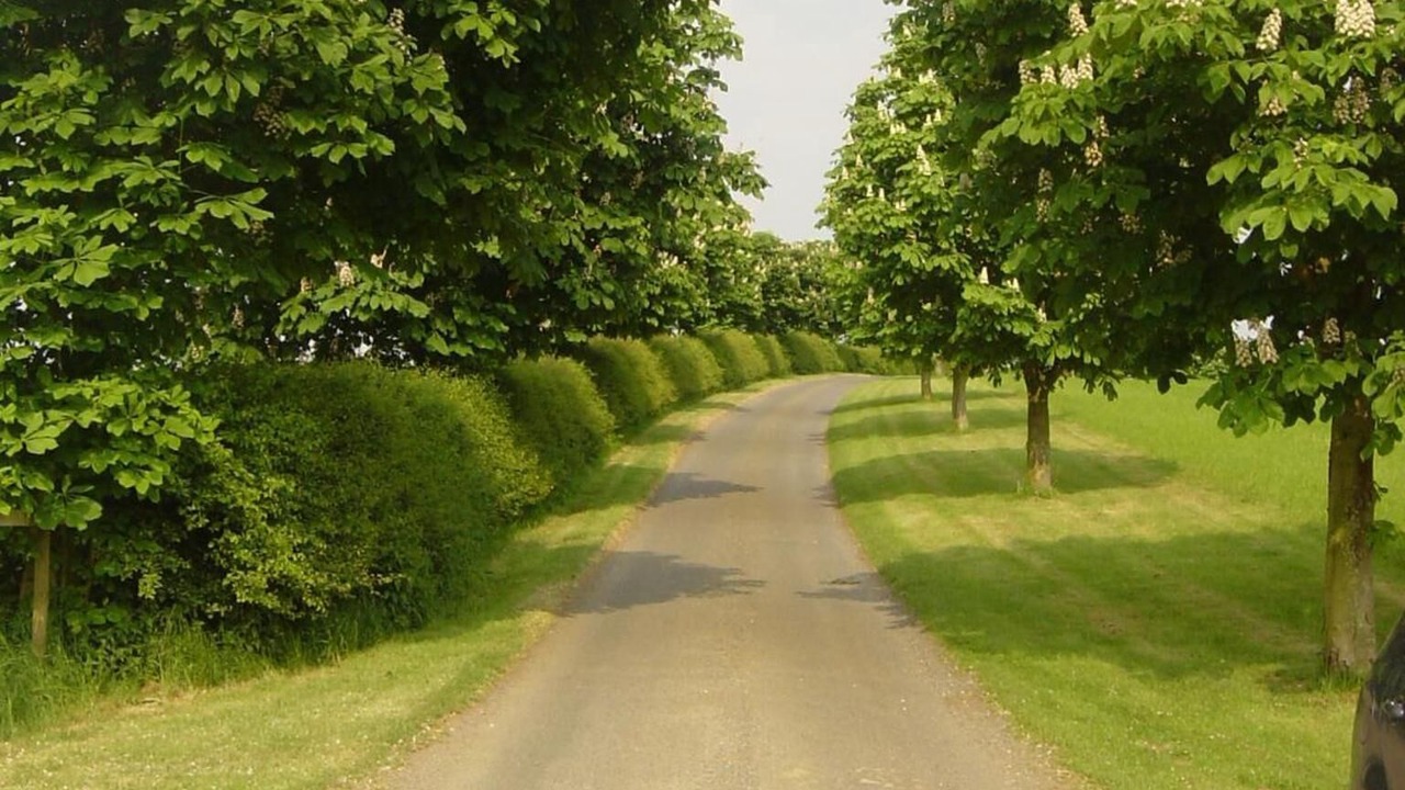 Photo of Outdoor in Yardley Gobion