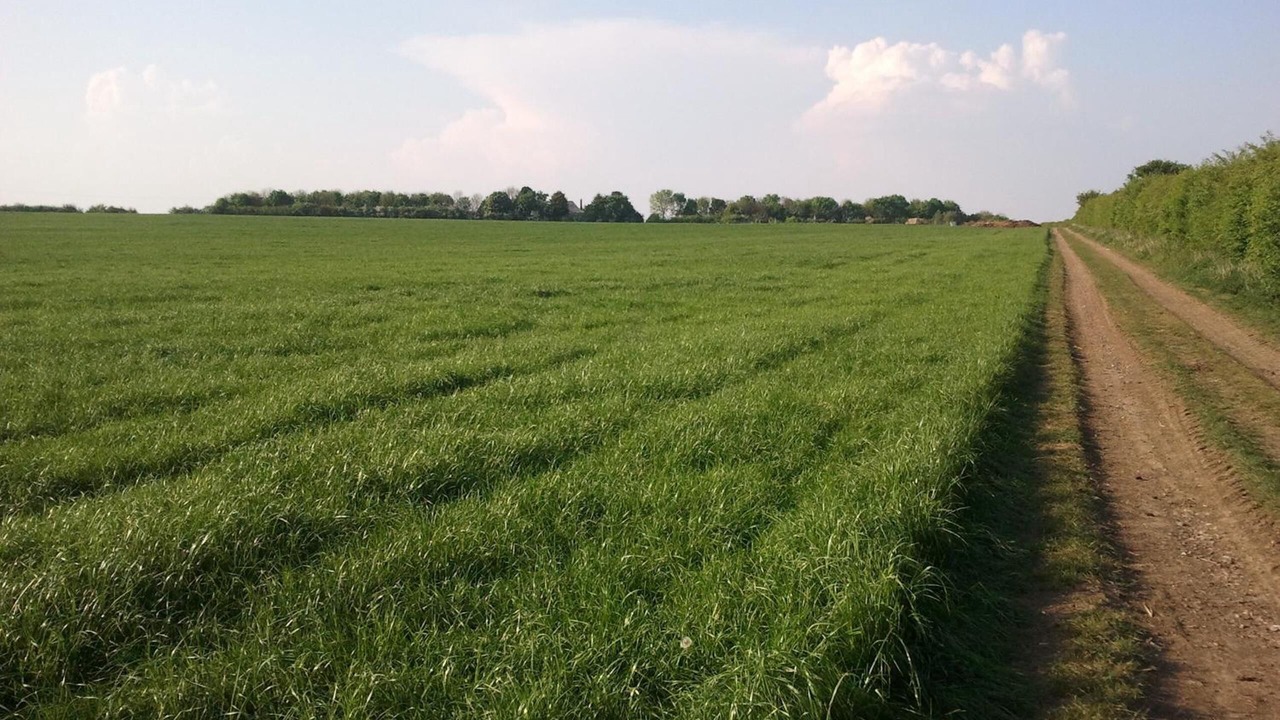 Photo of Outdoor in Yardley Gobion