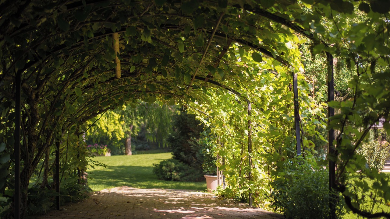 Photo of Outdoor in Biesheim