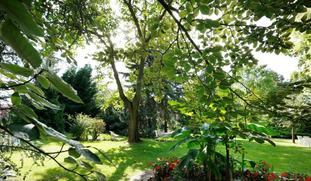 Photo of Outdoor in Biesheim