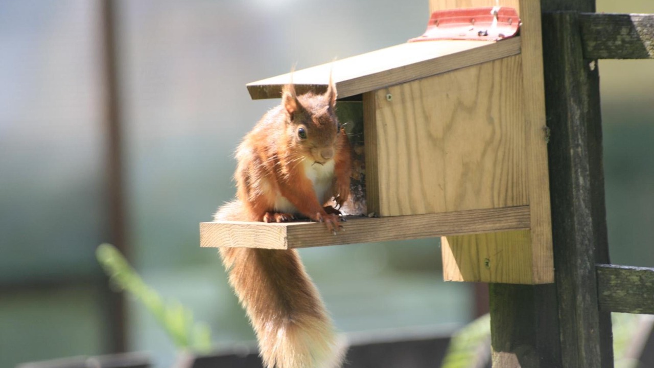 Photo of Others in Rosthwaite