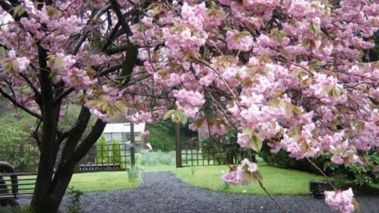 Photo of Outdoor in Rosthwaite