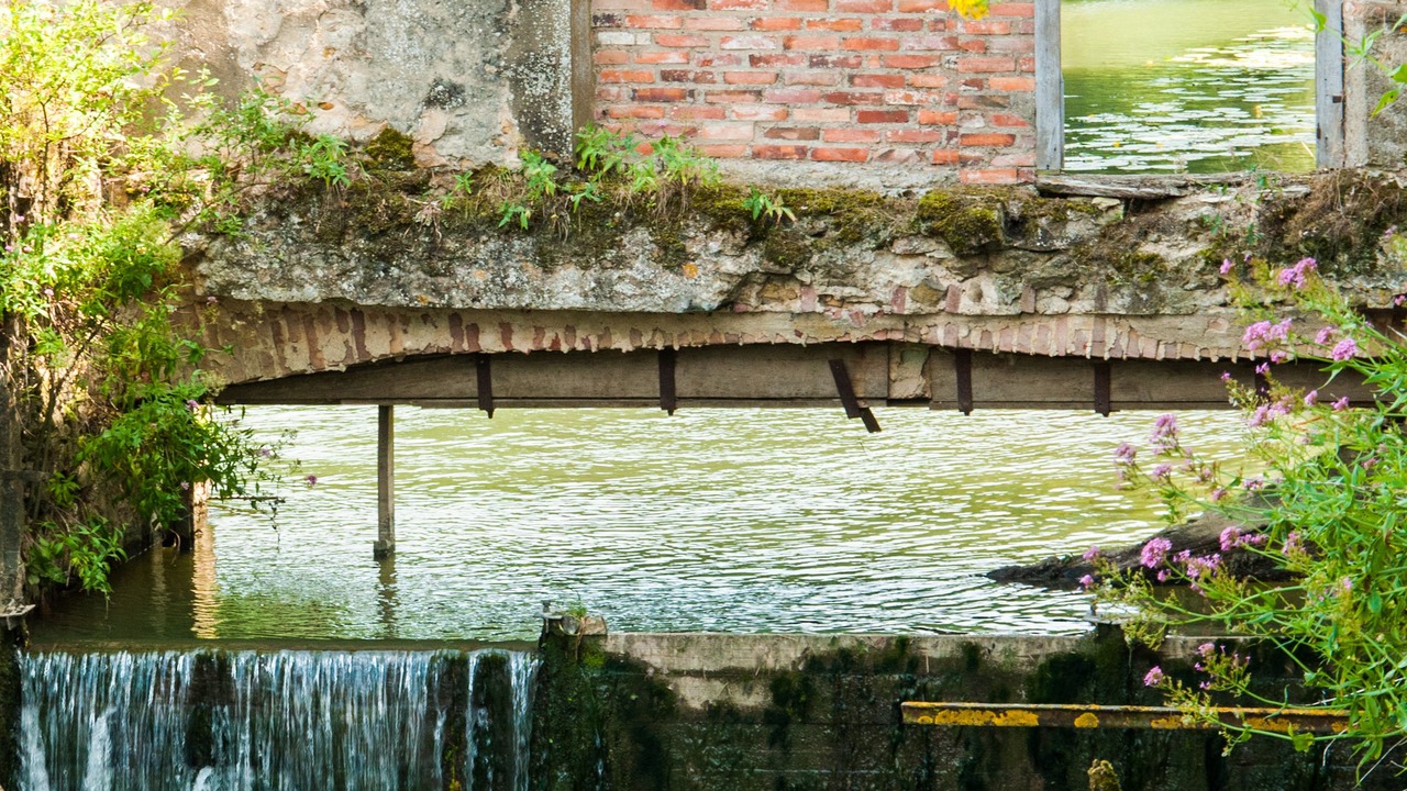 Photo of Outdoor in Le Lude