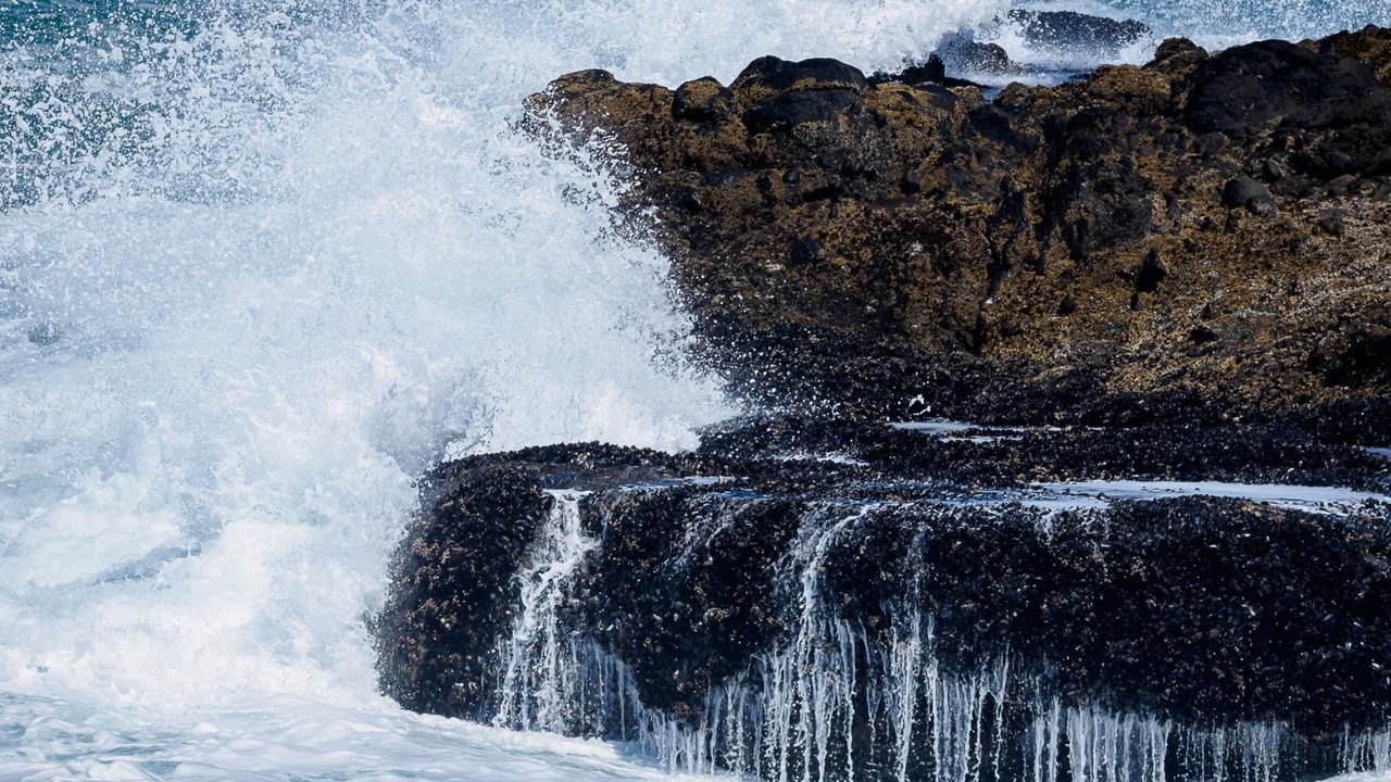 Photo of Others in Yachats