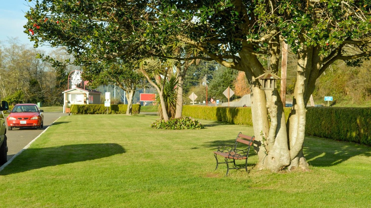 Photo of Outdoor in North Bend