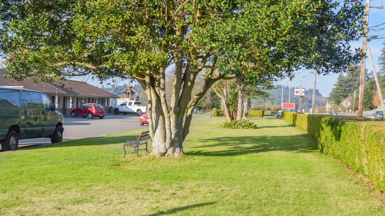 Photo of Outdoor in North Bend