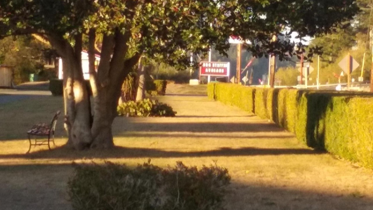 Photo of Outdoor in North Bend