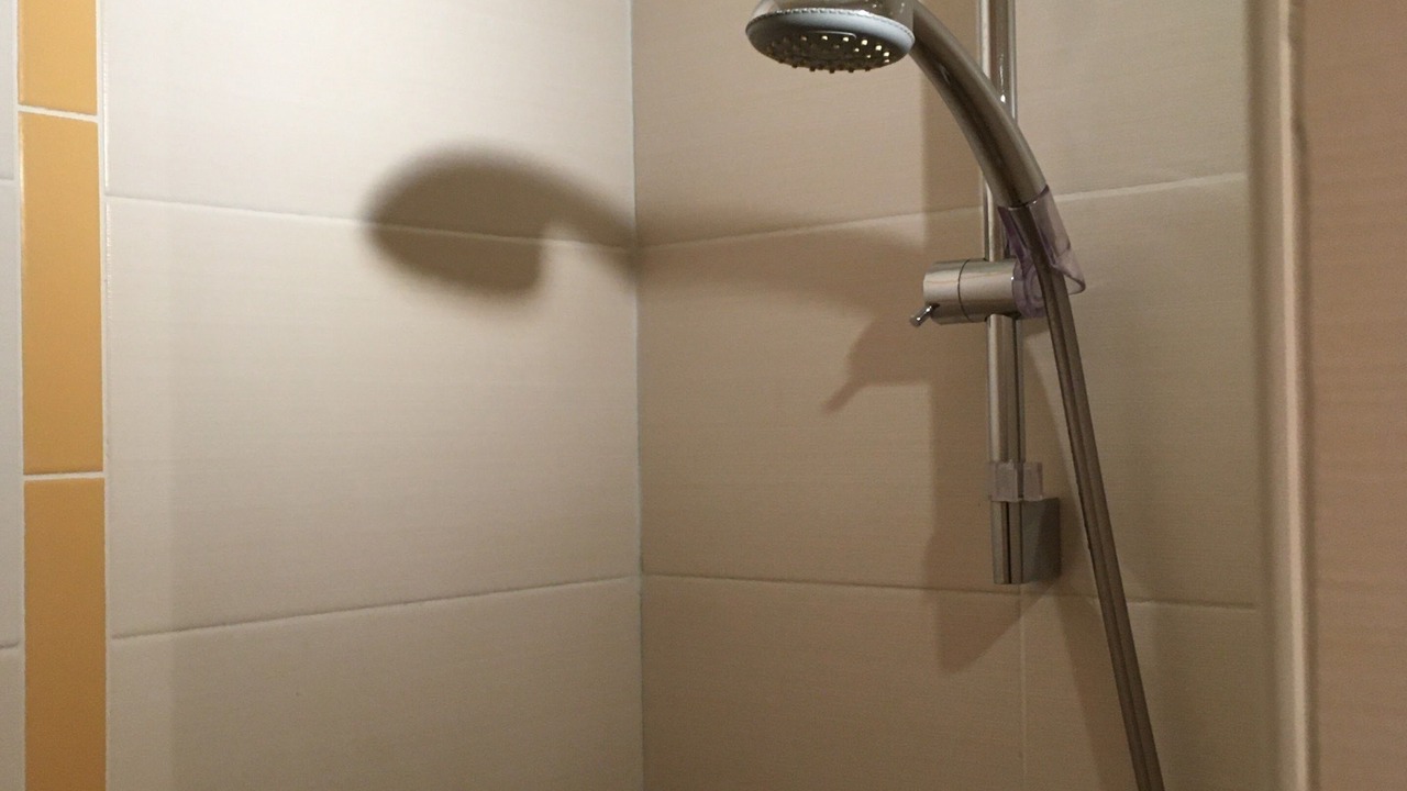 Photo of Bathroom in Chatillon-en-Michaille