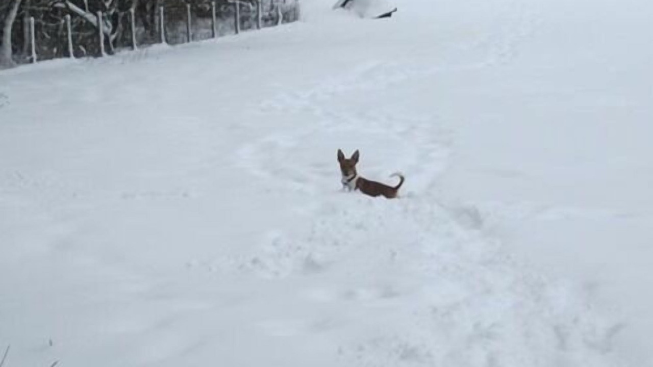 Photo of Outdoor in Durham