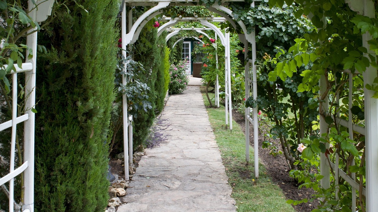 Photo of Outdoor in Chenonceaux