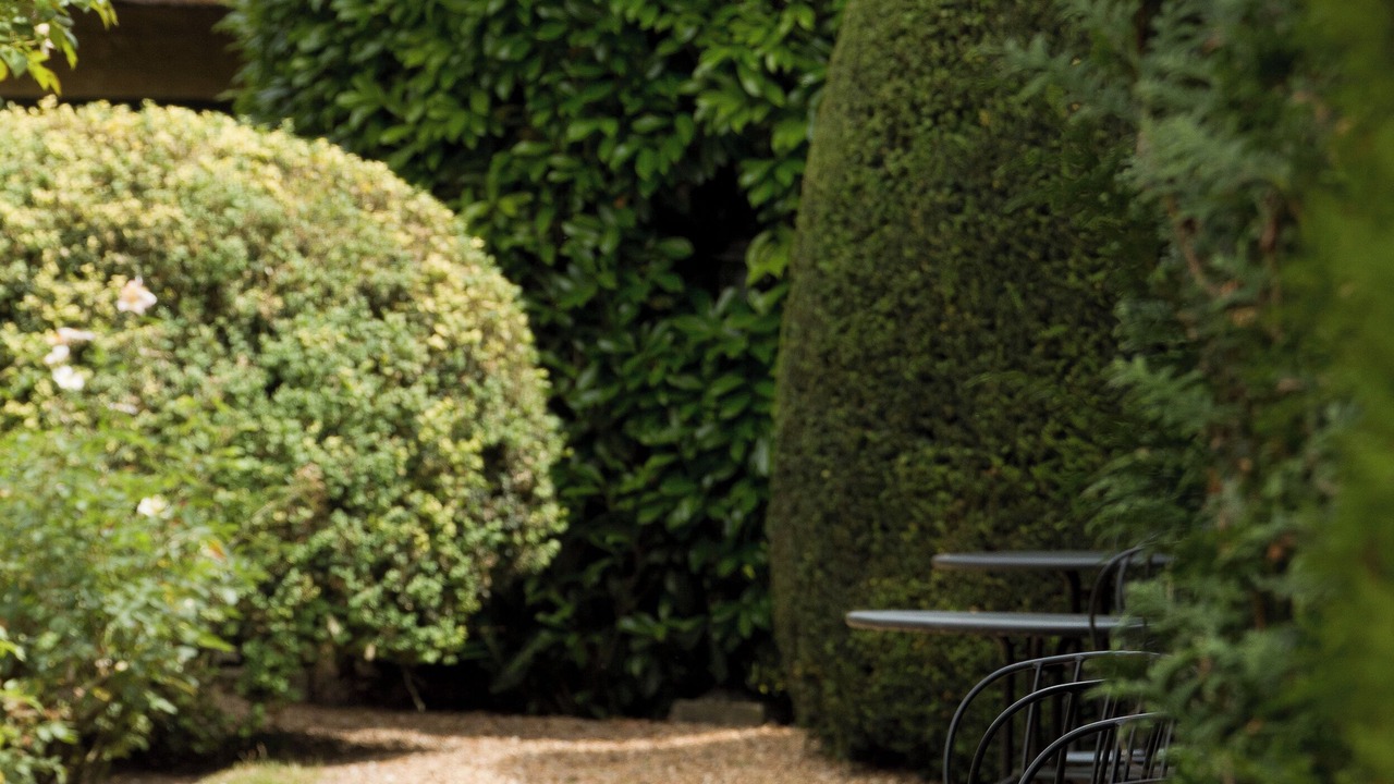Photo of Outdoor in Chenonceaux